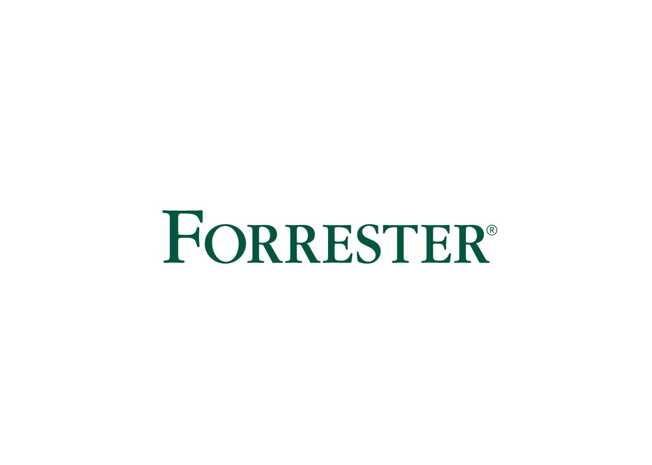 Recommendations for Foreign Hardware Brands