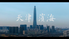 Tianjin Binhai New Area Building Materials and Hardware Store