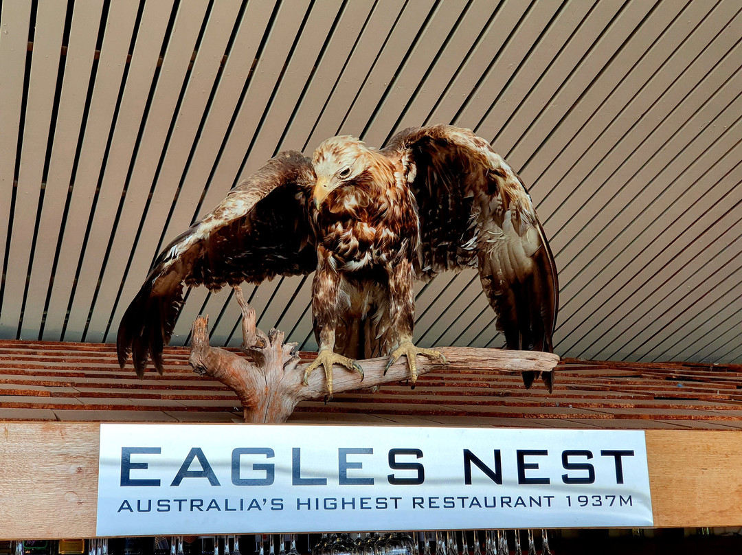 Eagles Nest: A Masterpiece of Industrial Craftsmanship at Big Desert Eagle Hardware Store