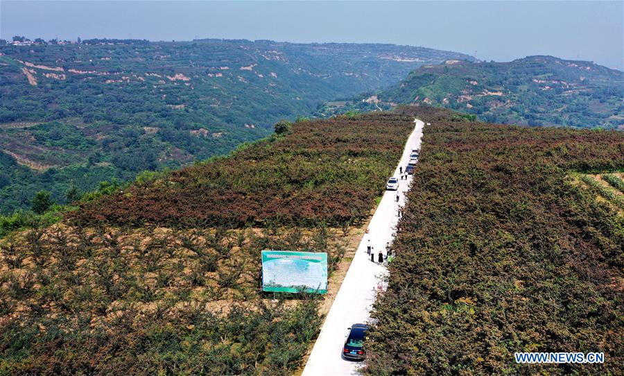 The Journey of Shaanxi Provinces Rehabilitation Road Hardware Store