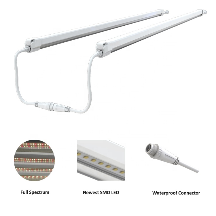 The Evolution and Functionality of Round灯管 Hardware Fittings