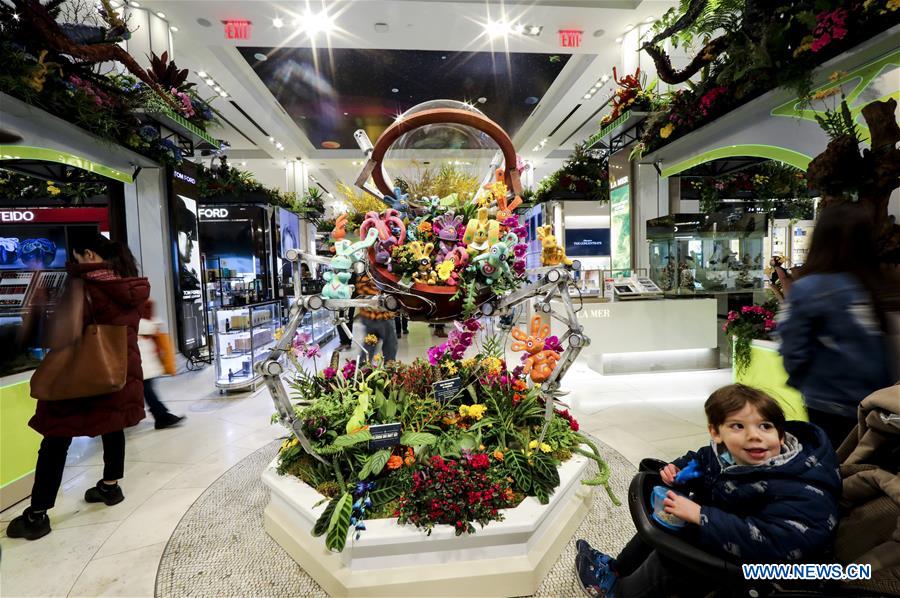 What Kind of Flower Looks Best in a Hardware Store?