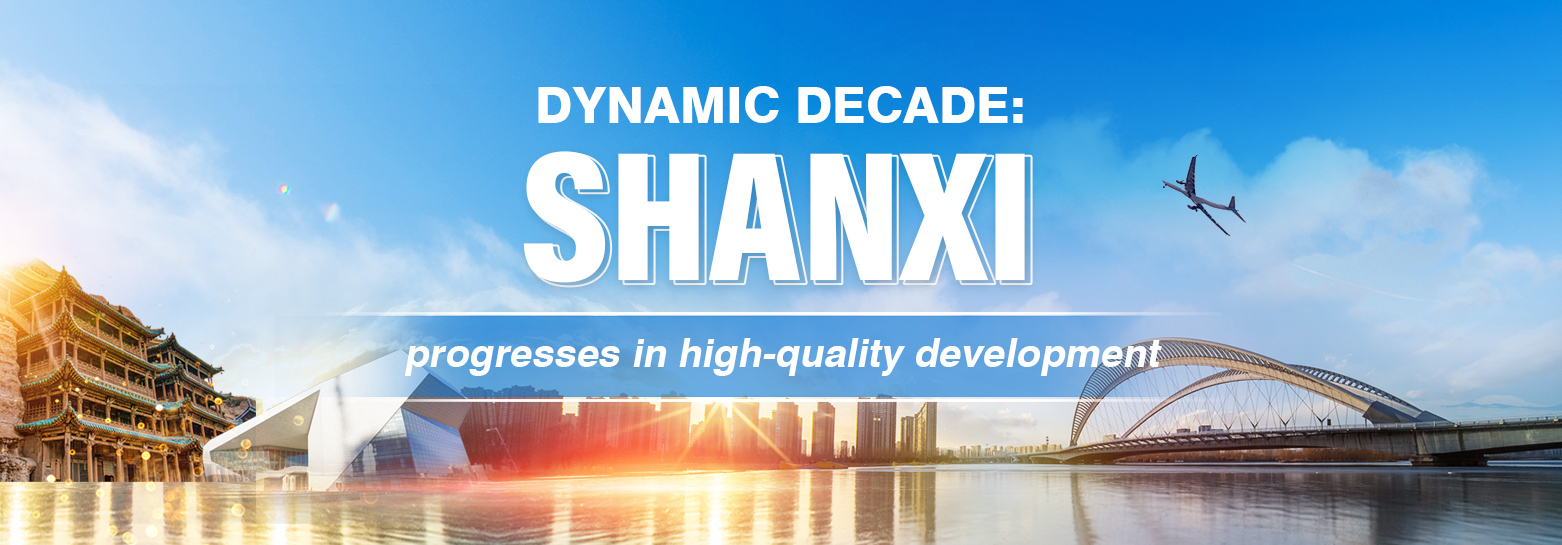 The Diversity of New Hardware Fittings in Shaanxi Province