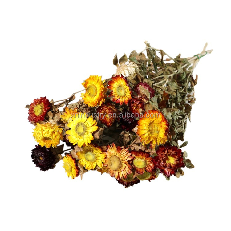 Wu Zhong Flower Spray Hardware Manufacturer