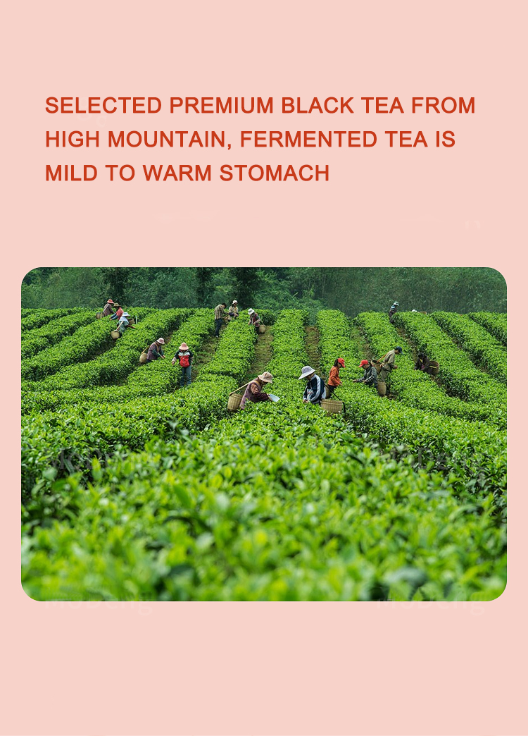 Where Can I Find a Famous Hardware Supplier in the Tea Mountains?