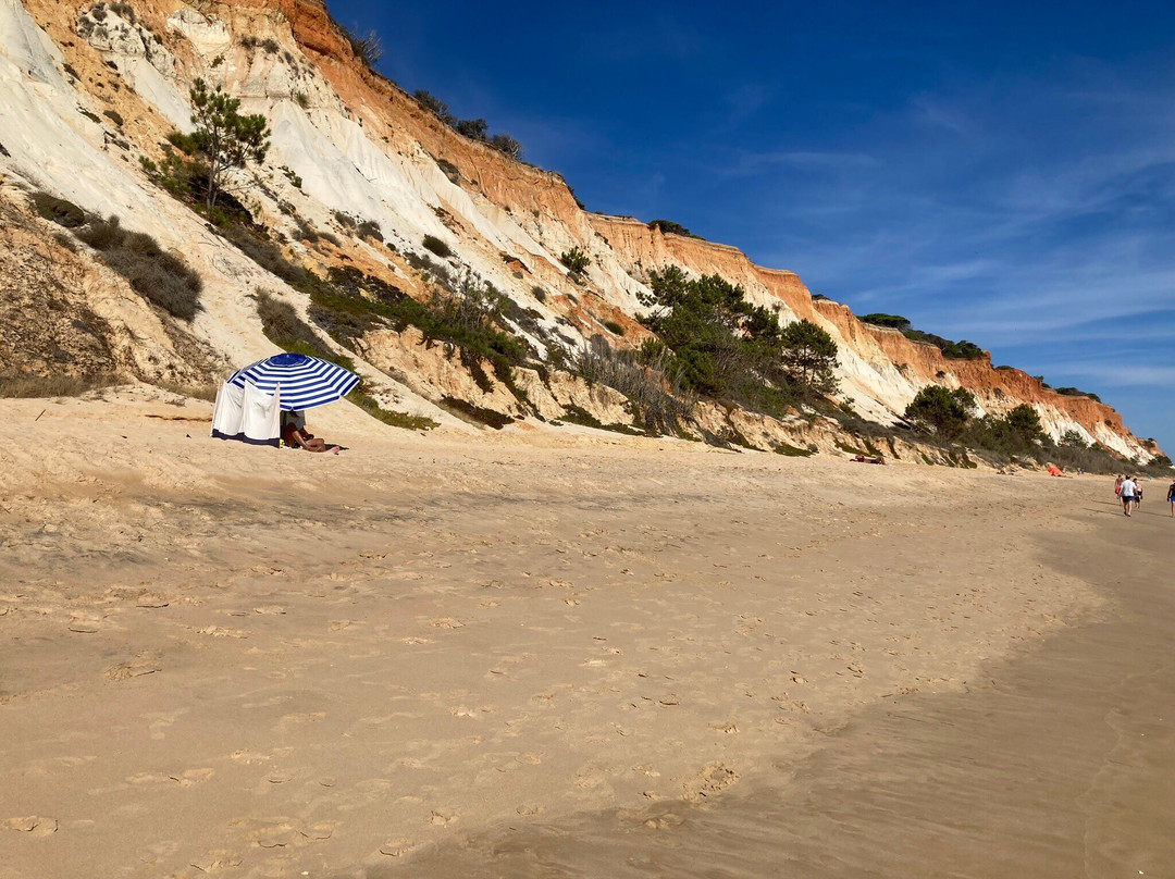 The Hidden Power of Metal and Sand