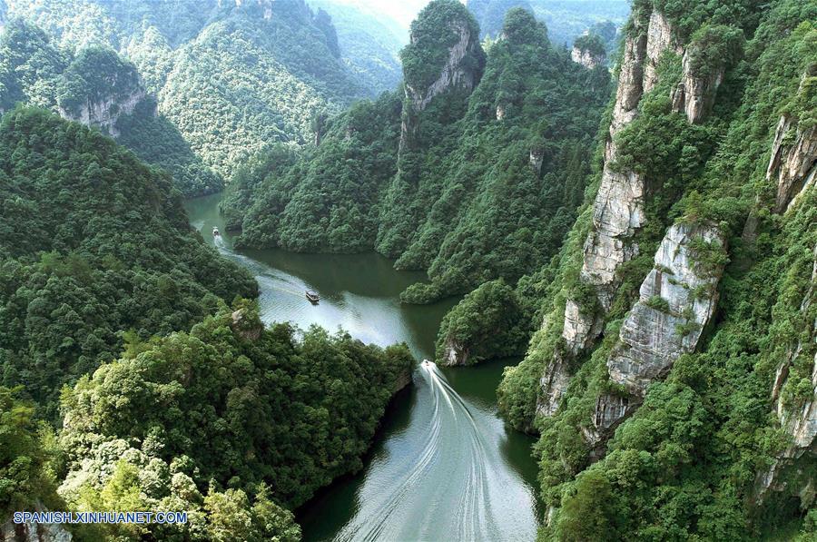 The Dynamic Landscape of Hunan Hardware Brands in Yongzhou