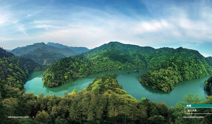 The Dynamic Landscape of Hunan Hardware Brands in Yongzhou