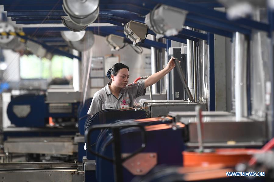 Overview of Zhejiang Brands in Hardware and Tools Industry