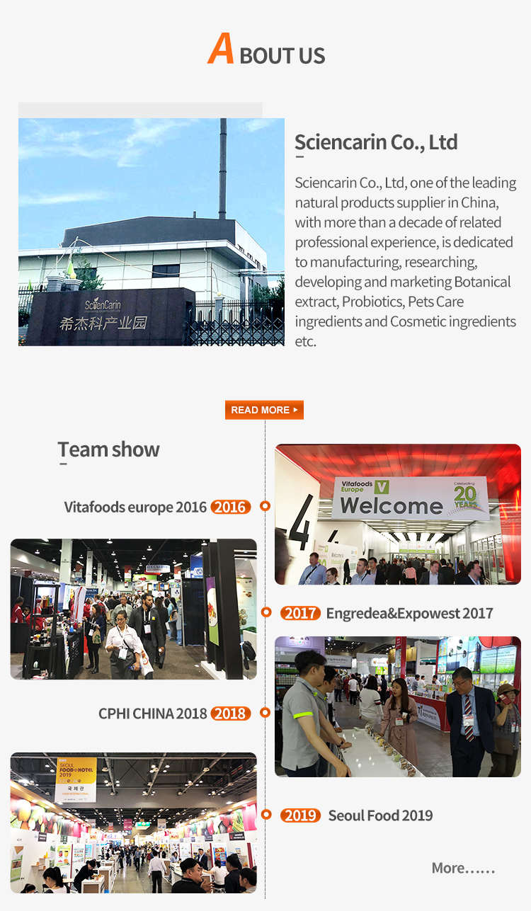 Yongcheng Hardware Wholesale Market - A Hub of Supply and Demand in the South
