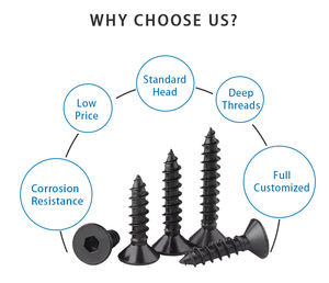 Customized Hardware Screws: The Perfect Fit for Your Project