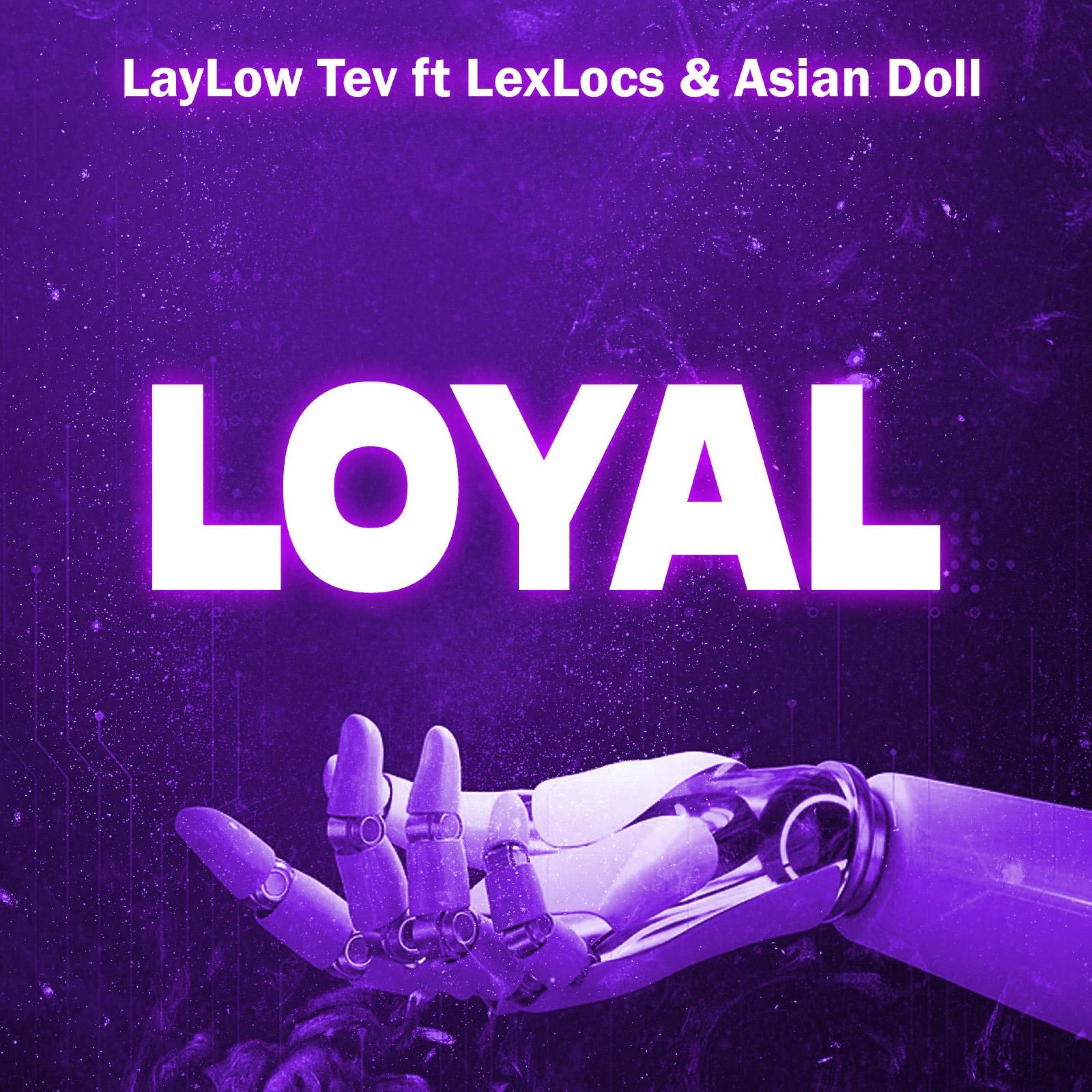 Loyal Hardware Wholesale