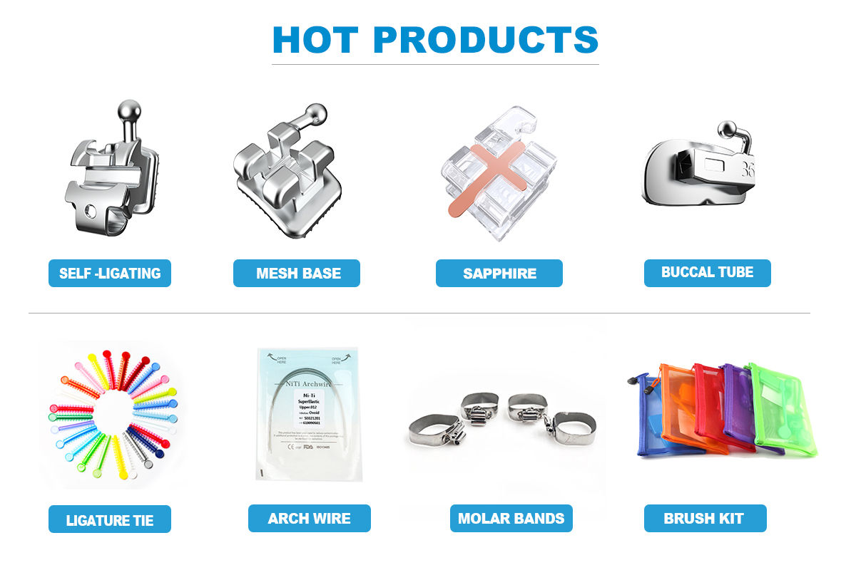 Hangzhou Dragon Bone Fittings Hardware Manufacturer