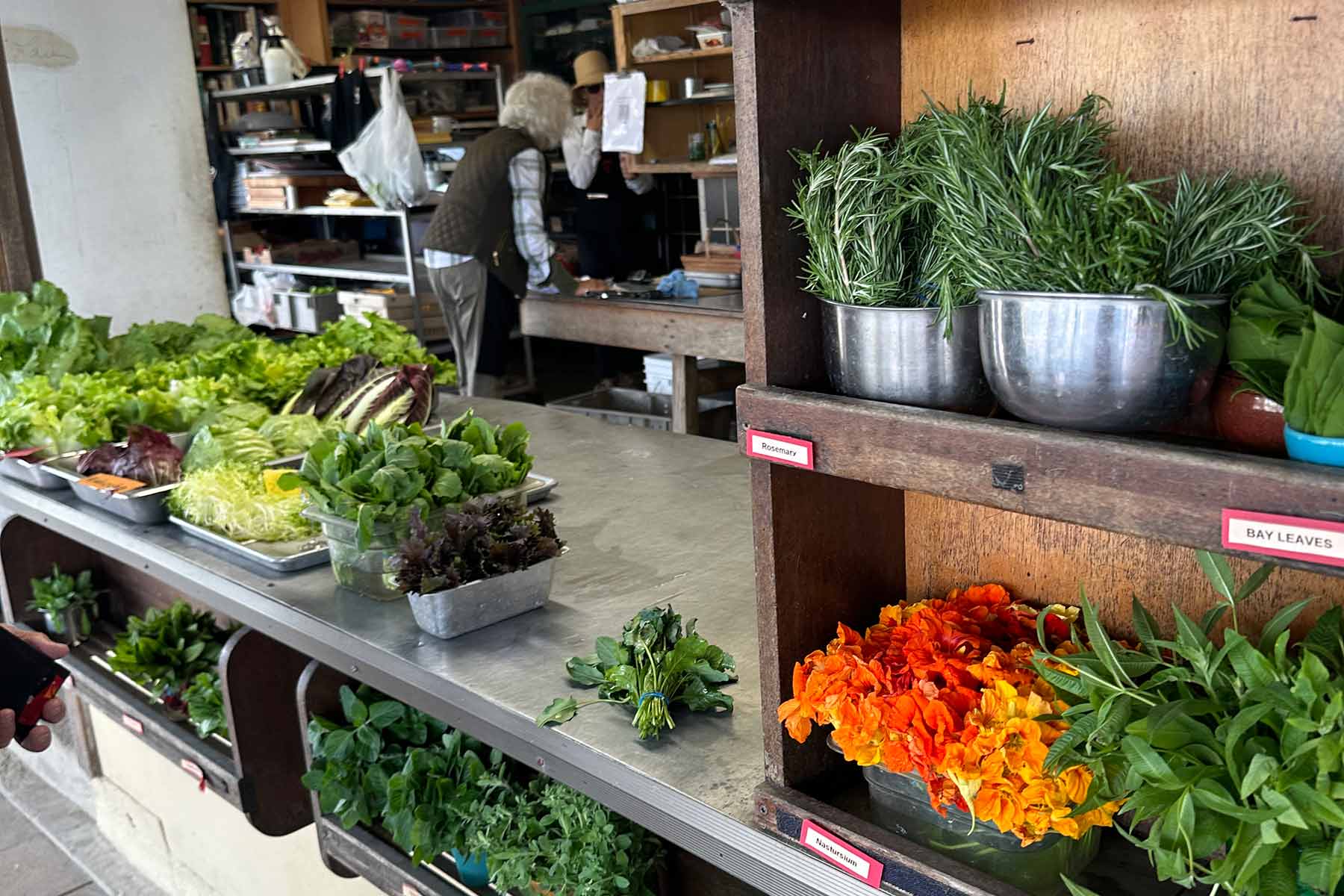 Does a Hardware Store Sell Vegetables?
