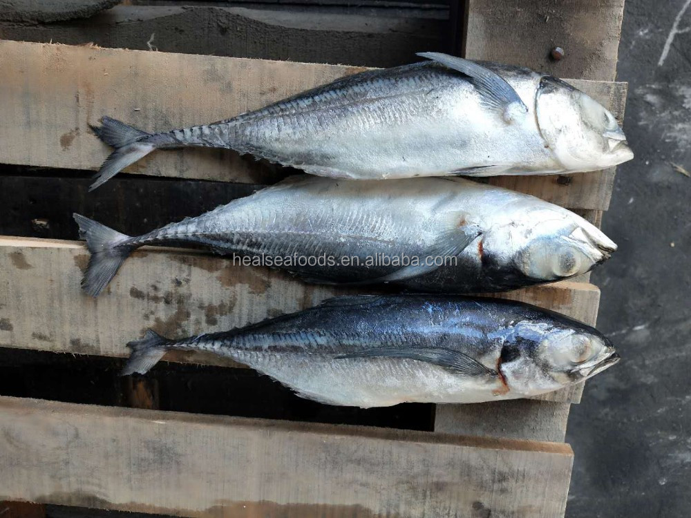 Fishpond Hardware Wholesale