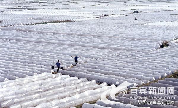 宜宾五金定制店，一站式五金定制解决方案