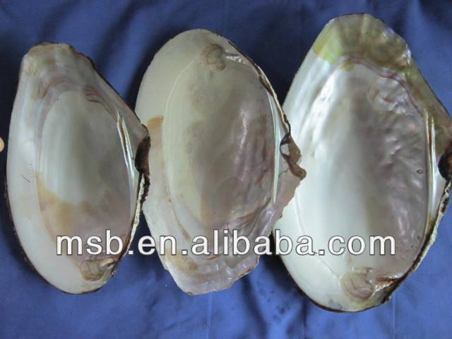 Wholesale of Huiyang Hardware Shells